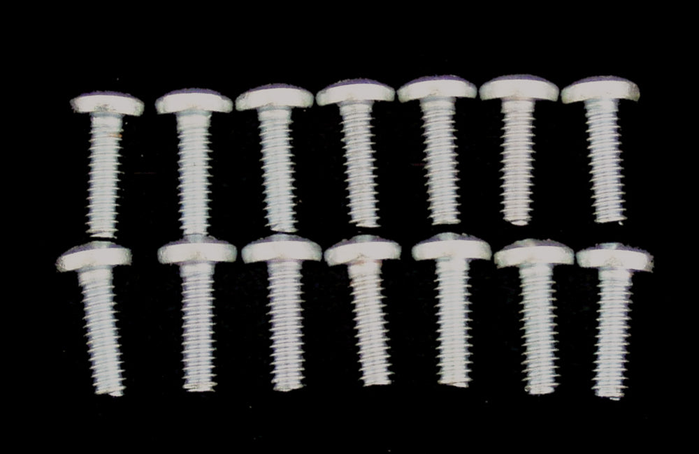 Stainless Bolt Kit