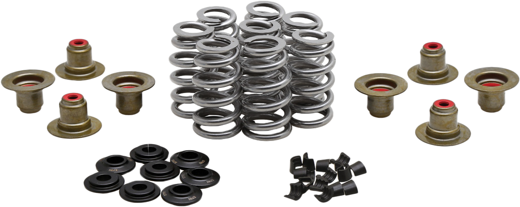 BEEHIVE VALVE SPRING KIT .640 LIFT  M8`17-24 NON VVT