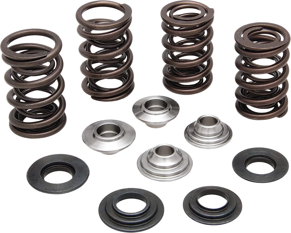 Valve Spring Kit - Image 2