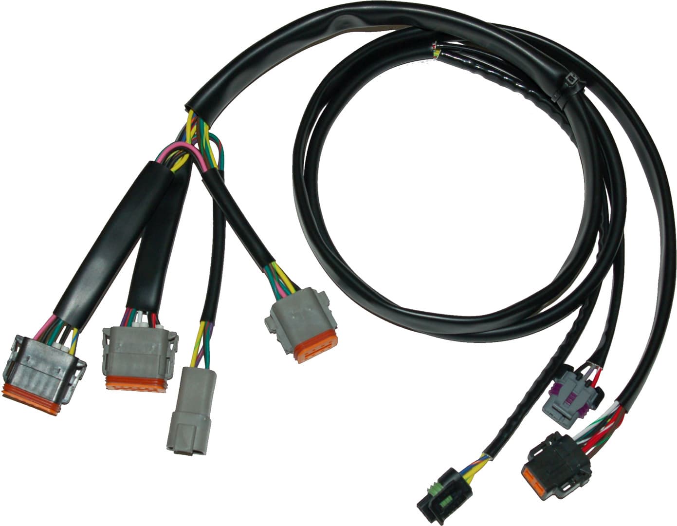 Ignition/EFI Wiring Harnesses