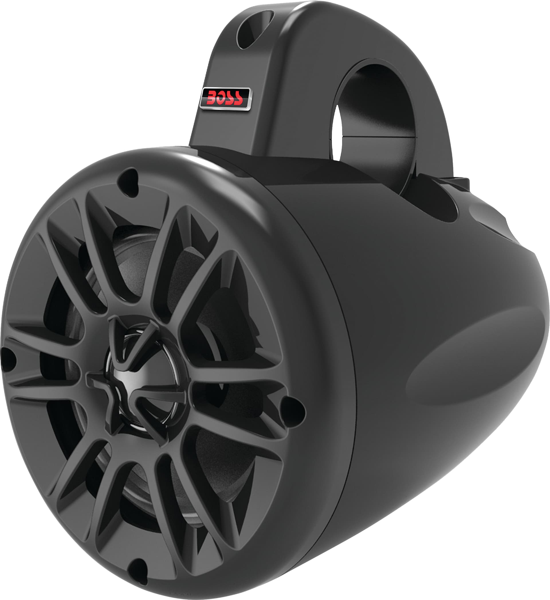 Boss Non-Amp Rollcage Speakers