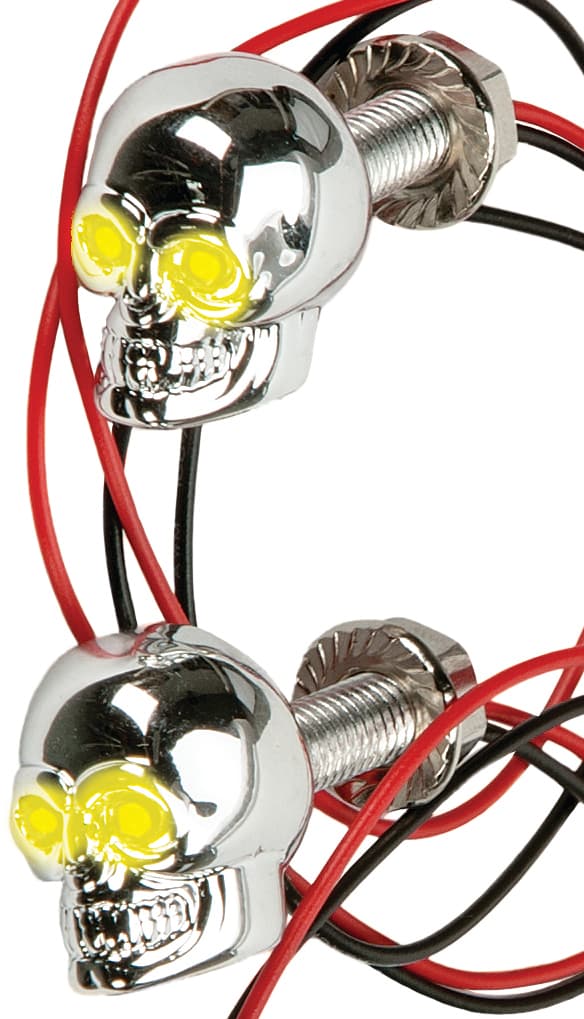 Lighted Skull License Plate Screw