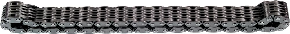 11 Wide Chaincase Chain