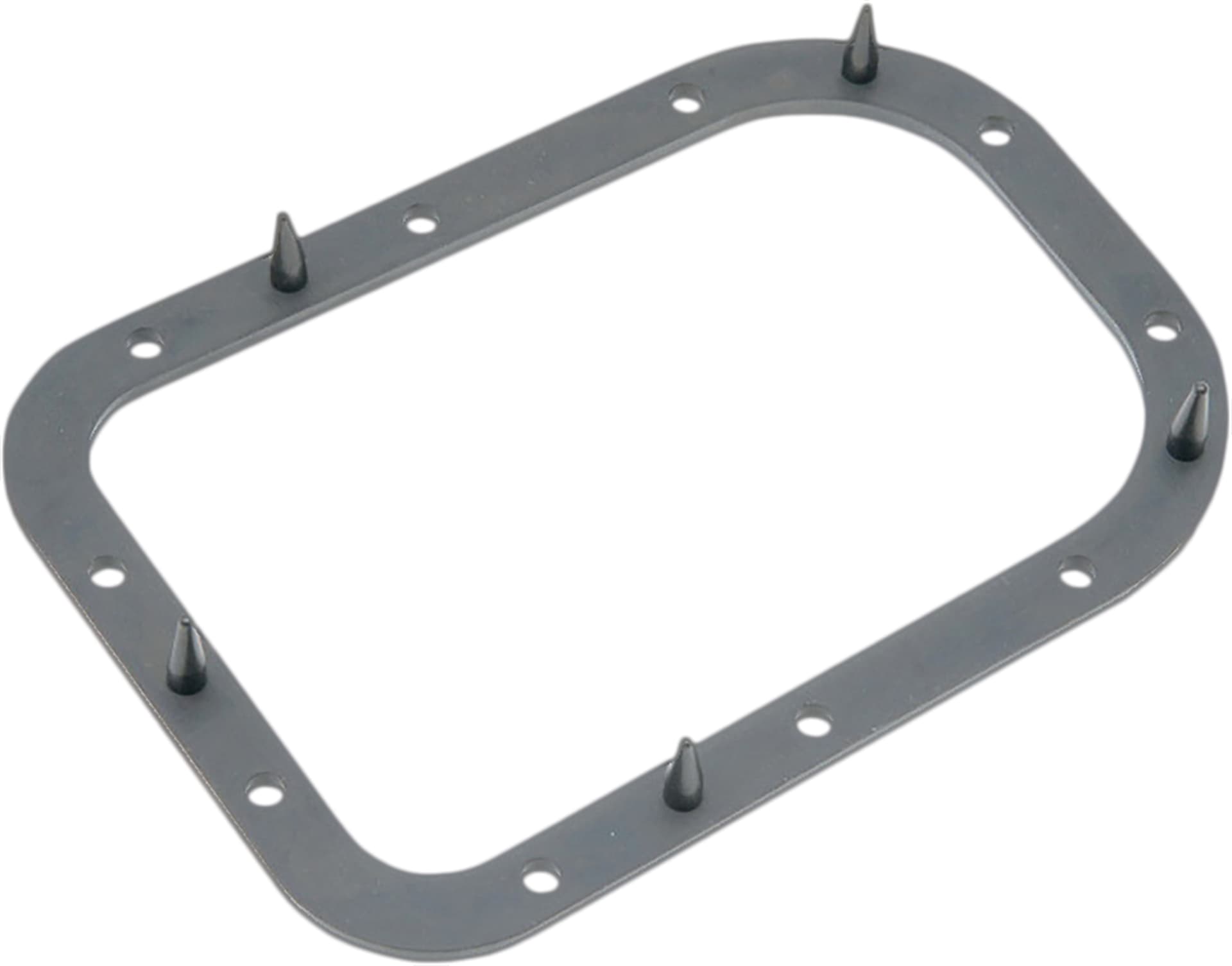 Fuel Pump Door Gasket - Image 2
