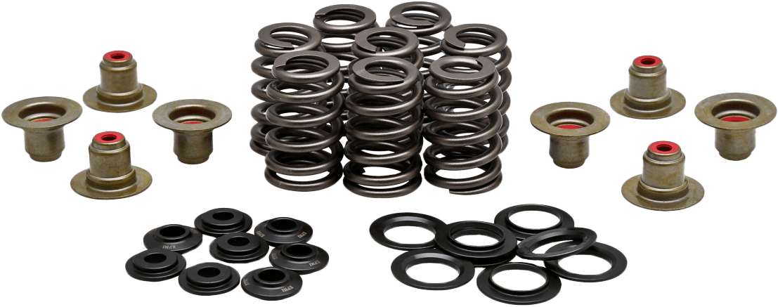 BEEHIVE VALVE SPRING KIT .550 LIFT  M8`17-24 NON VVT