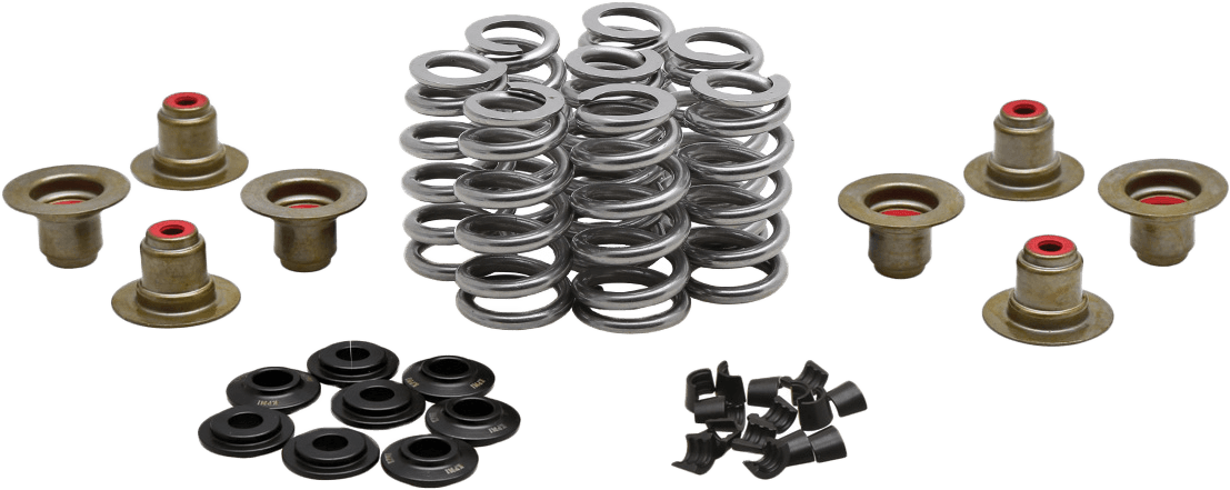 BEEHIVE VALVE SPRING KIT .640 LIFT  M8`17-24 NON VVT