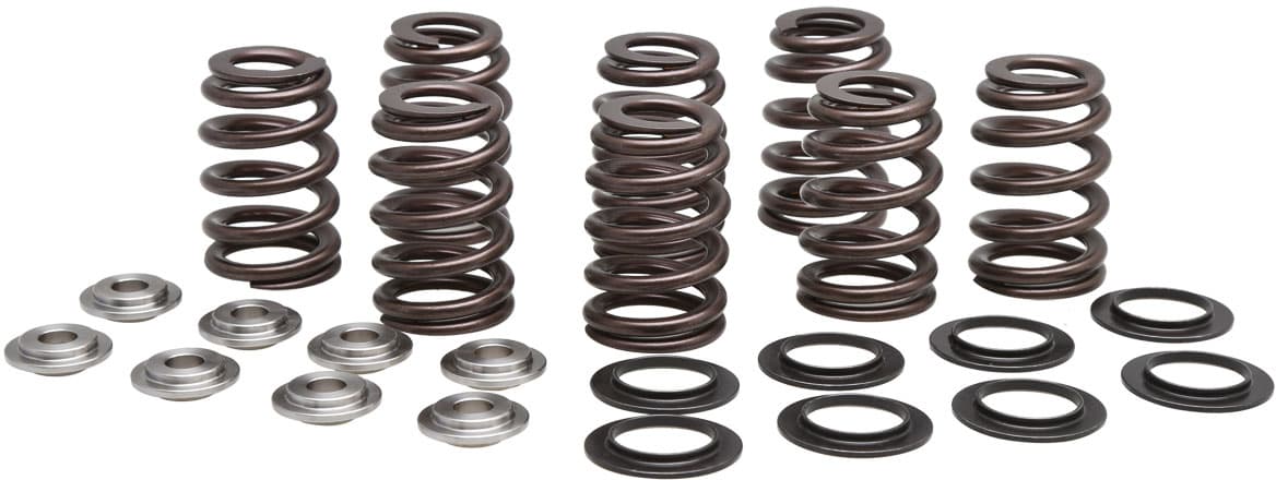 Valve Spring Kit - Image 3