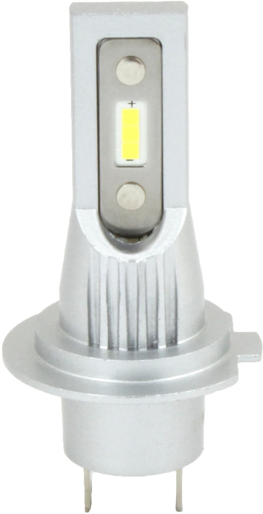 D Series Light Bulbs