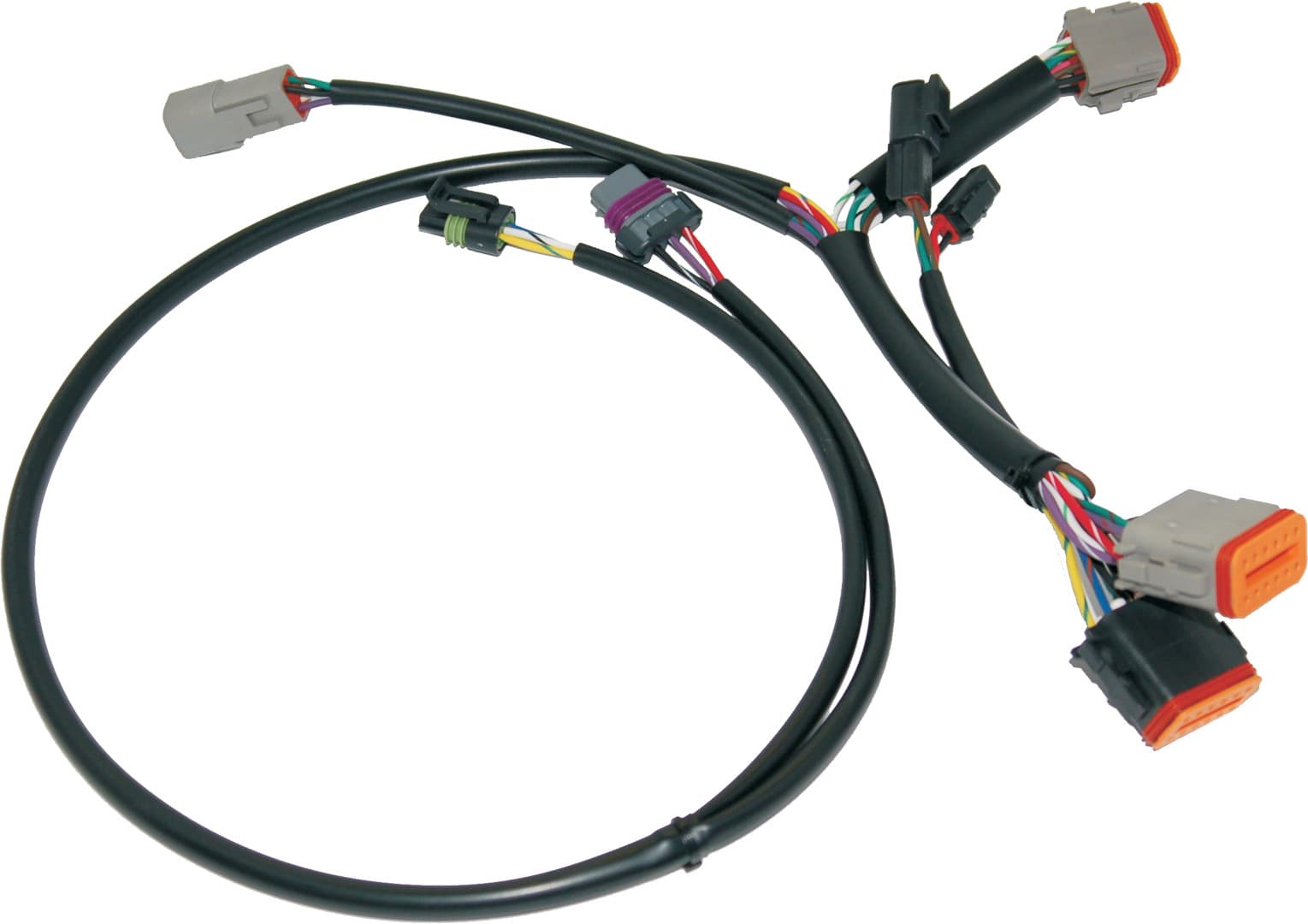 Ignition/EFI Wiring Harnesses - Image 3