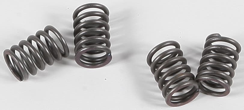 EBC Clutch Spring Set - Image 91