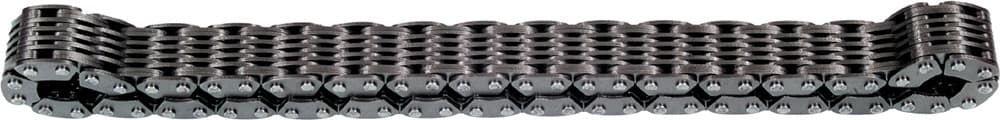 11 Wide Chaincase Chain - Image 2