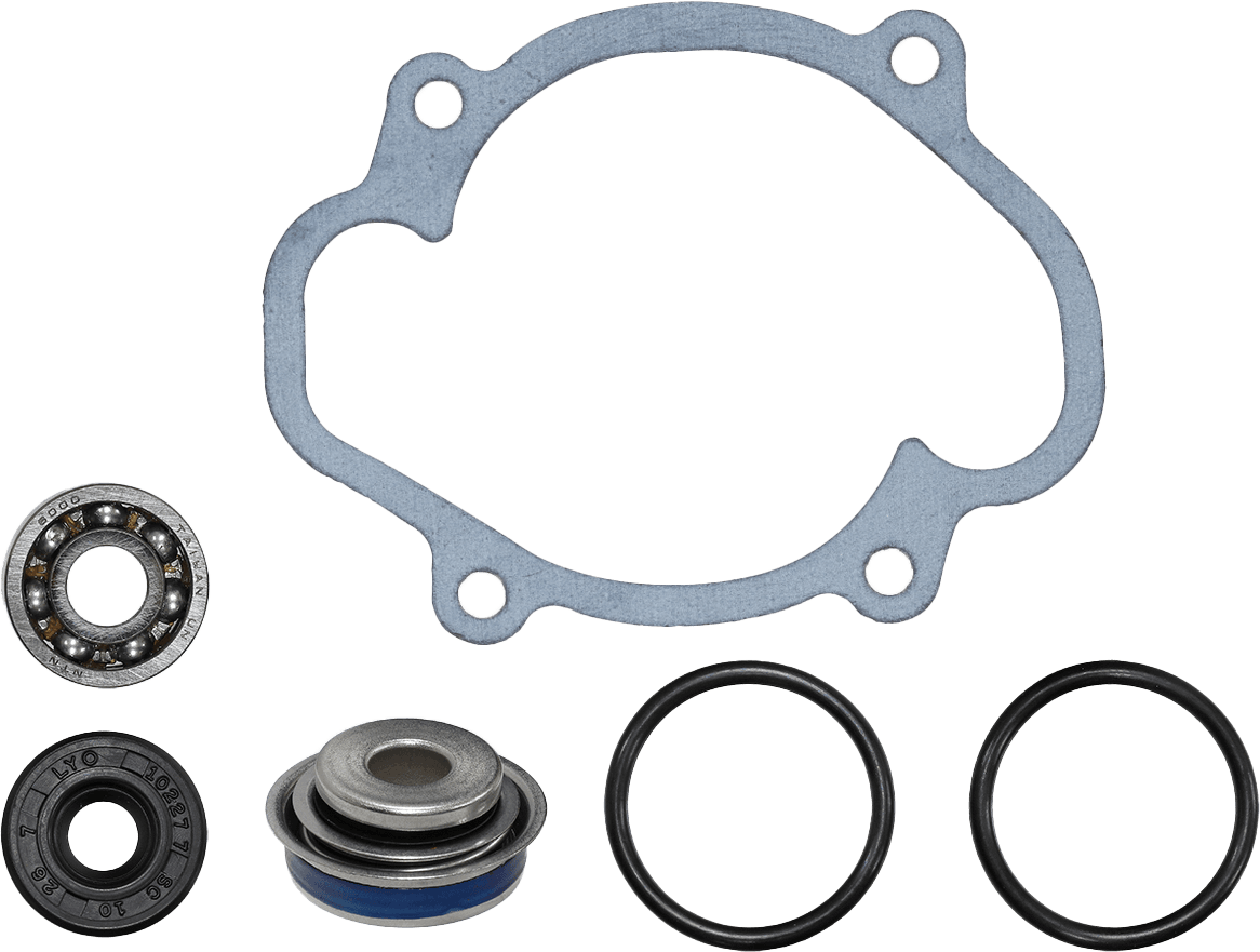 SPORT-PARTS INC. WATER PUMP BELT - Image 12