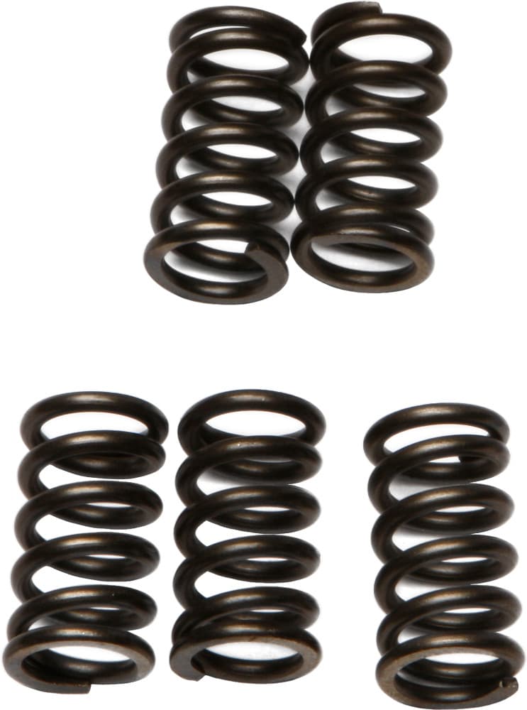 EBC Clutch Spring Set - Image 103