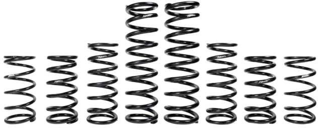 Dual Rate Spring Kit