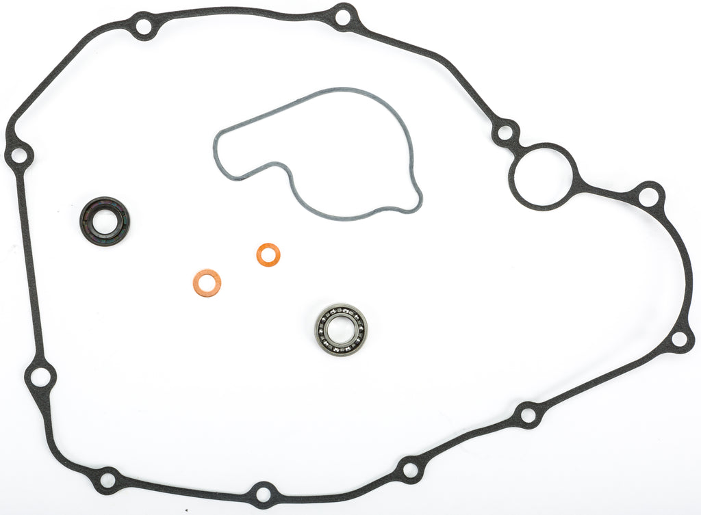 Water Pump Repair Kit