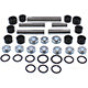 All Balls Rear Independent Suspension Kit - 