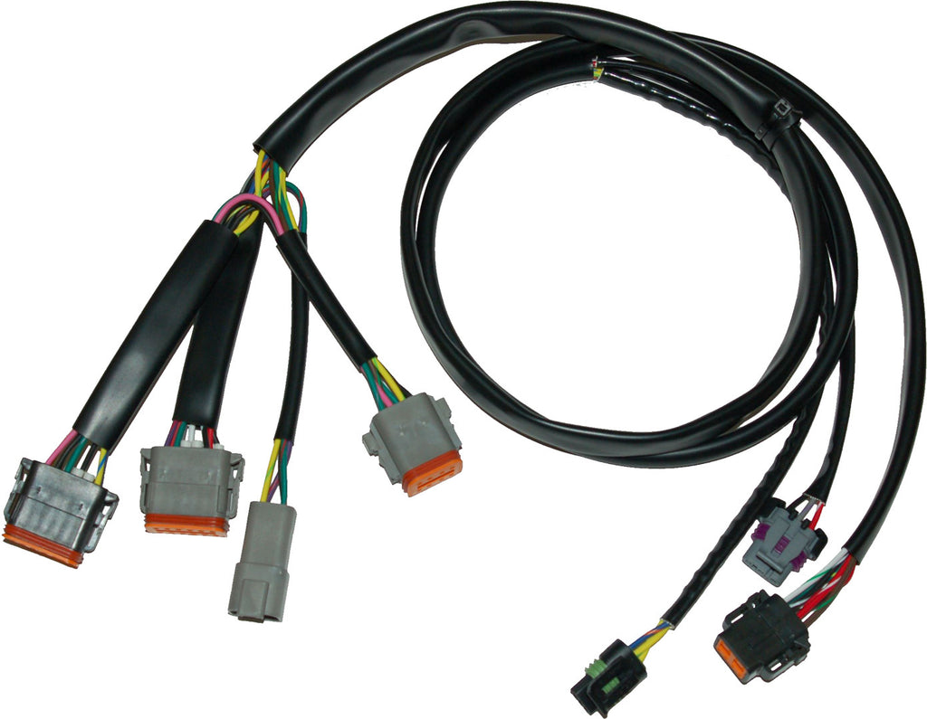 Ignition/EFI Wiring Harnesses