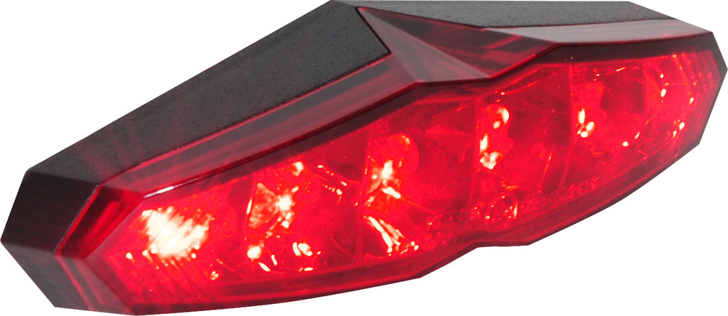LED Taillight