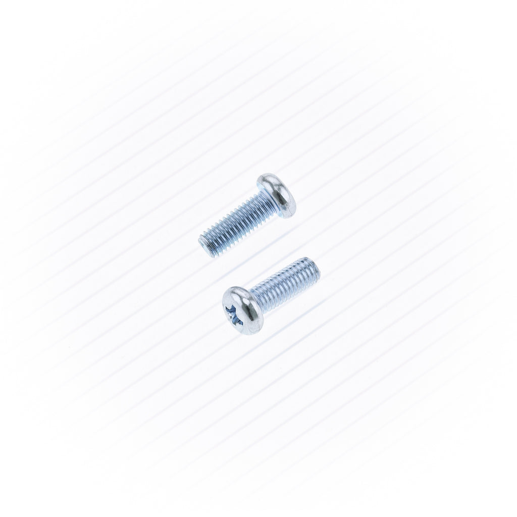 Carburetor Float Bowl Screws