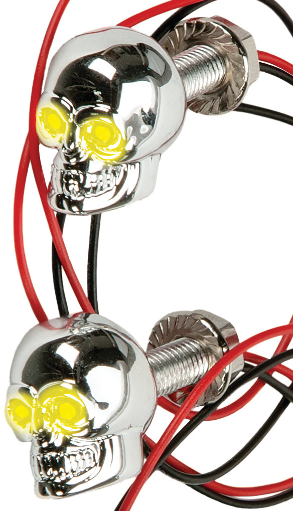 Lighted Skull License Plate Screw