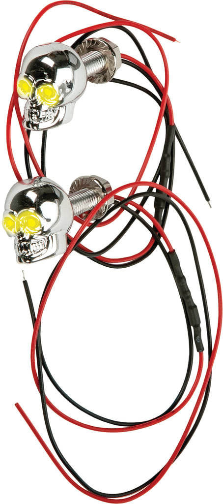 Lighted Skull License Plate Screw
