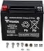 Yuasa YTX20 Factory Activated AGM Battery