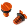 FF Air Valve Cap Screw