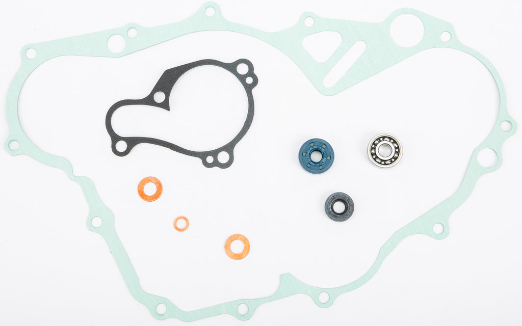 Water Pump Repair Kit