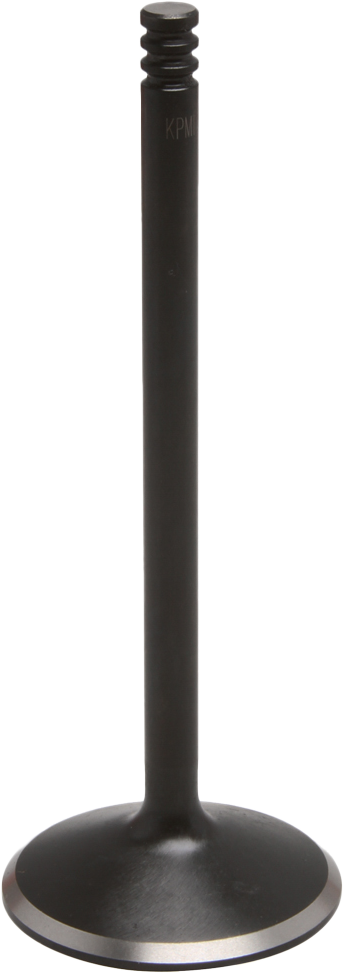 Black Diamond Intake Valve