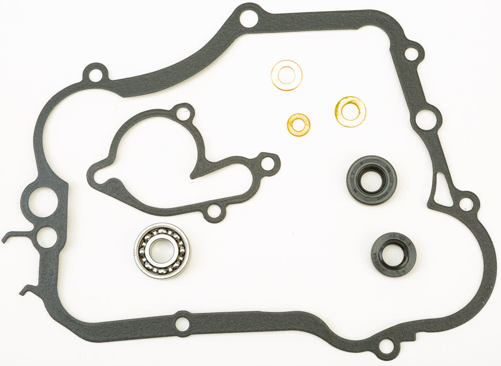 Water Pump Repair Kit