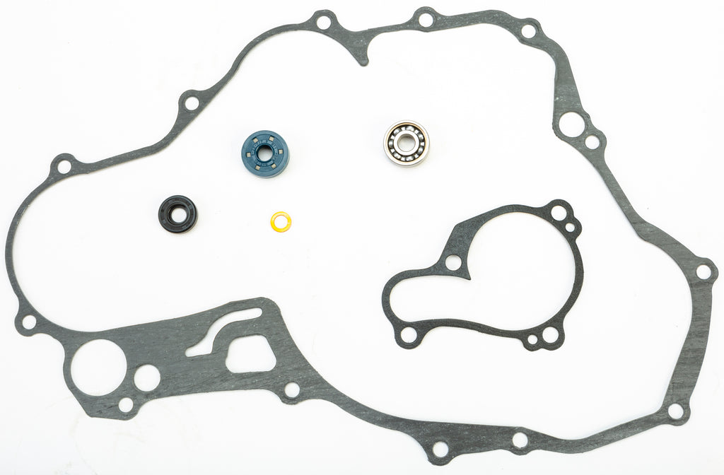 Water Pump Repair Kit