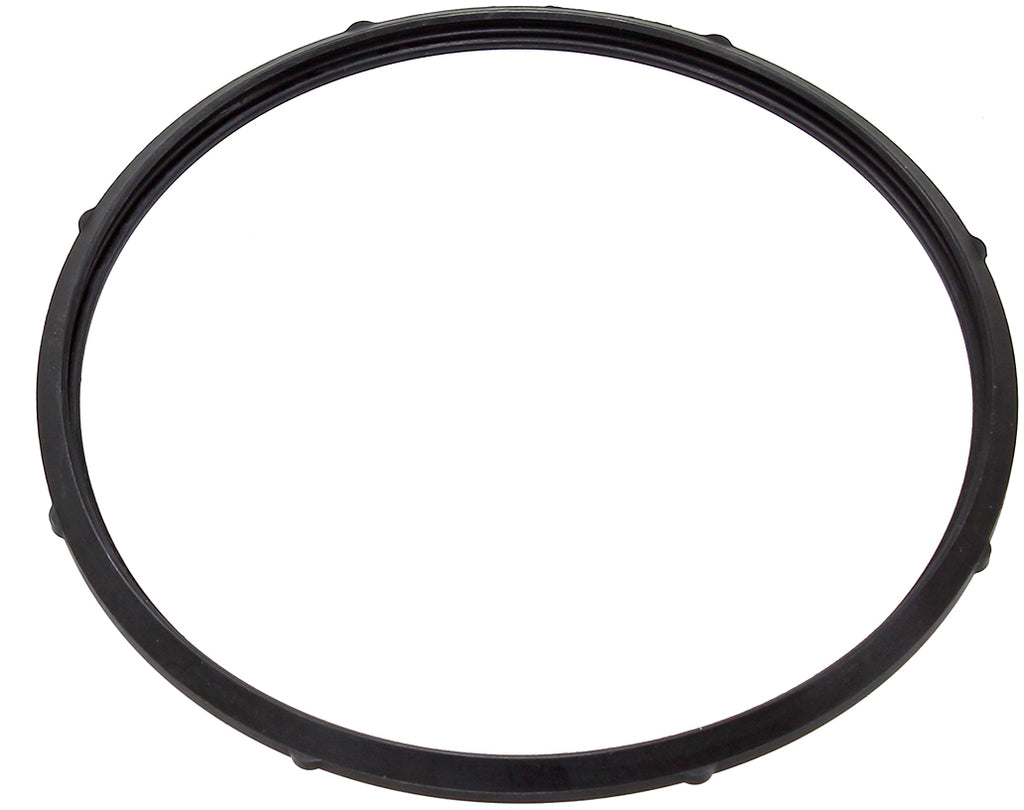 Fuel Pump Seal