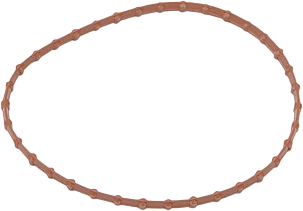Fuel Pump Door Gasket