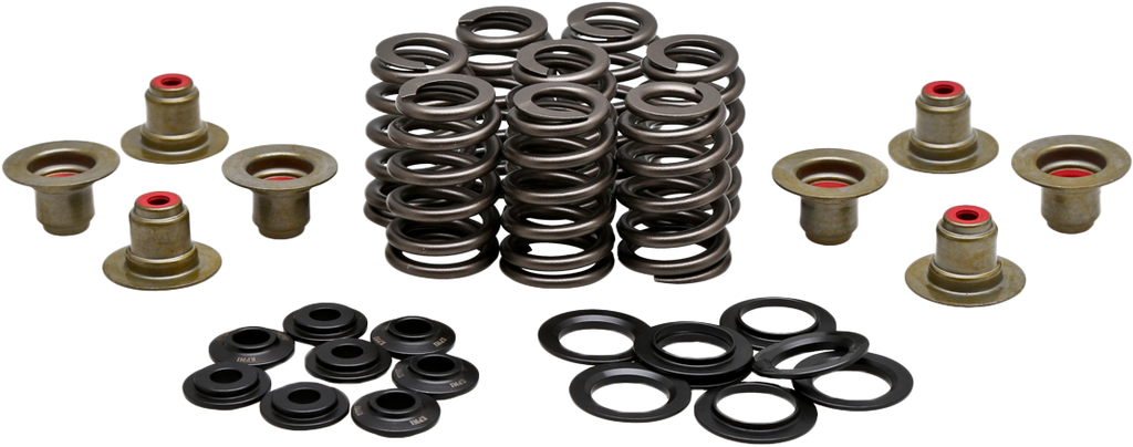BEEHIVE VALVE SPRING KIT .550 LIFT  M8`17-24 NON VVT