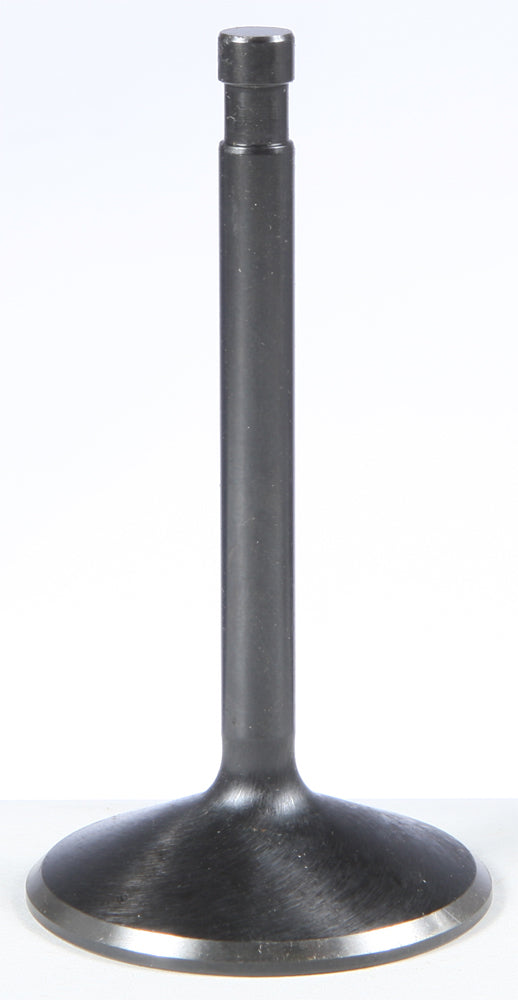 Black Diamond Intake Valve