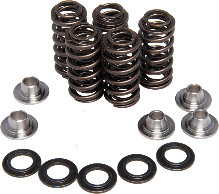Valve Spring Kit