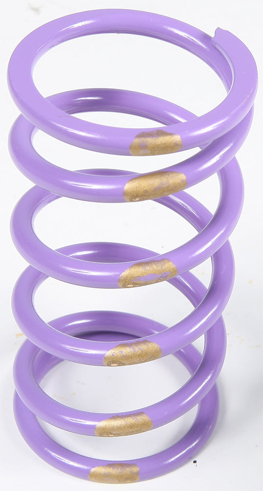 Steel Primary Spring