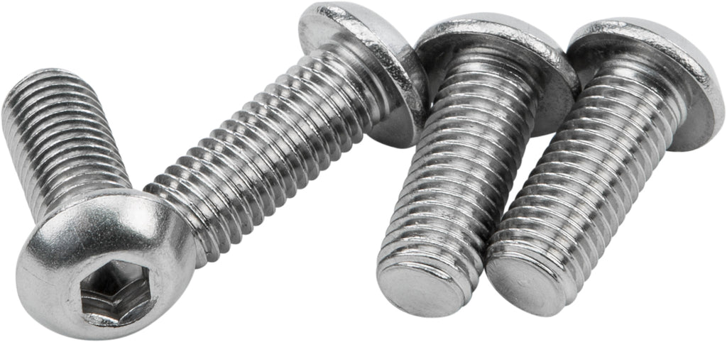 Sissybar 1/4-28 X 5/8 Stainless Hardware
