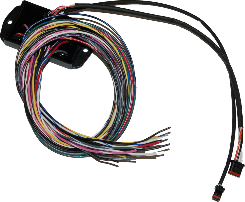 Bike Harness Modules