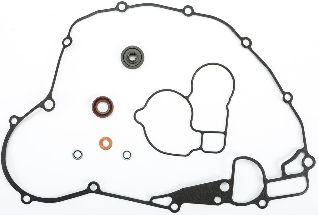 Water Pump Repair Kit