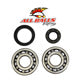 All Balls Crankshaft Bearing and Seal Kit - 