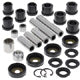 All Balls Rear Independent Suspension Kit - 