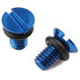 FF Air Valve Cap Screw