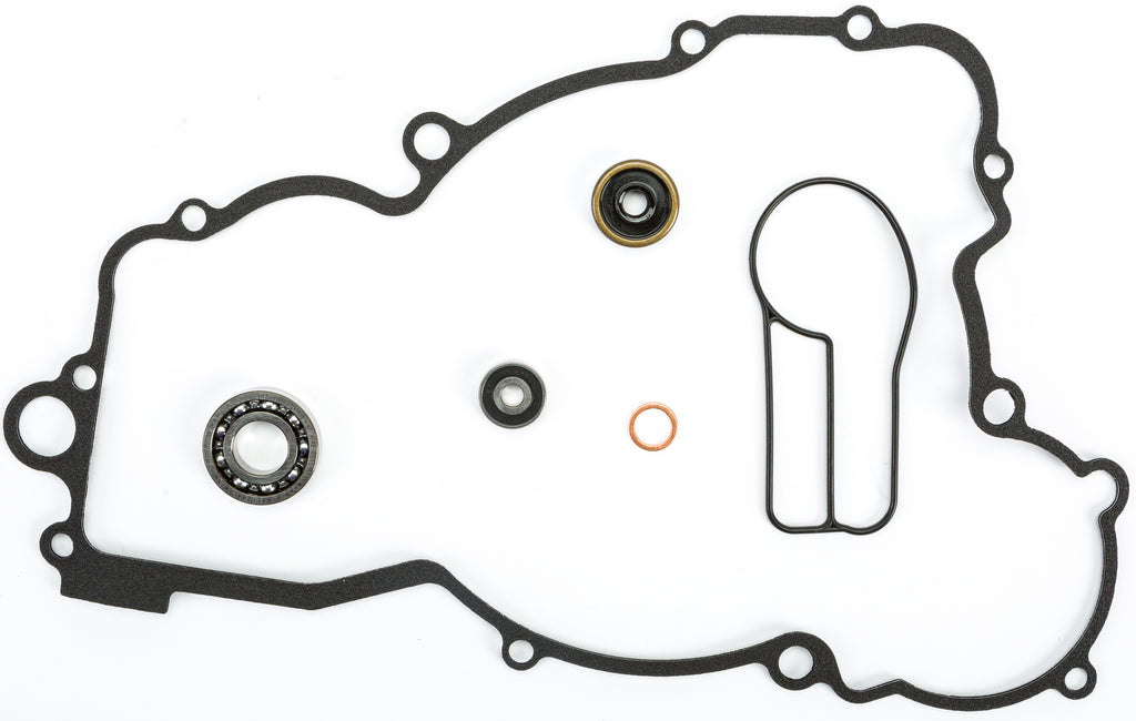 Water Pump Repair Kit