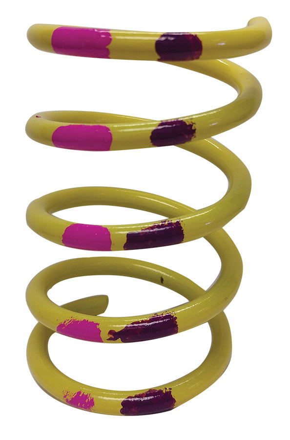 Steel Primary Spring