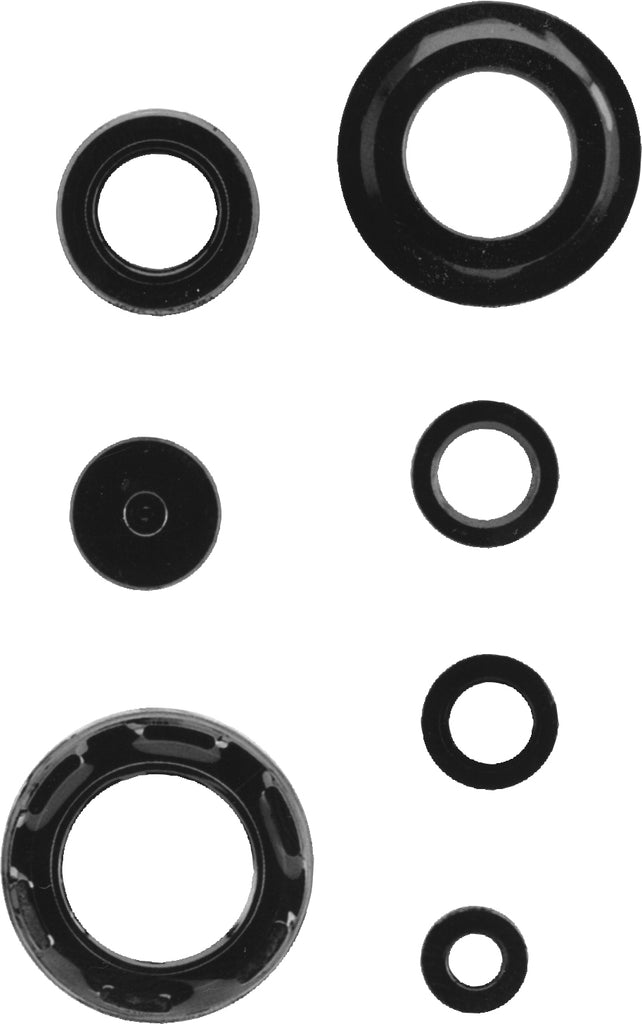 Engine Oil Seal Kit