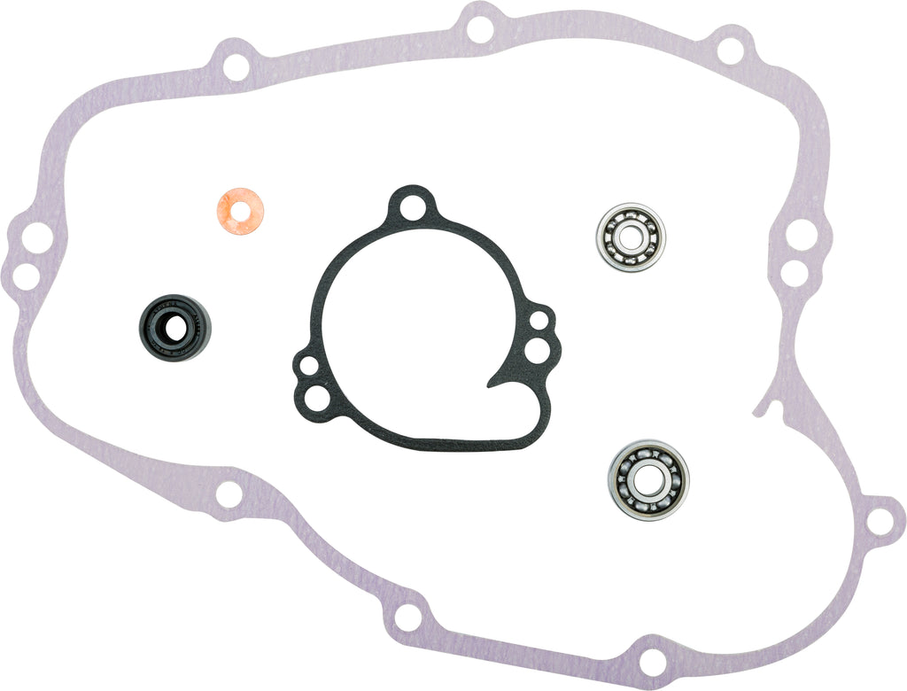 Water Pump Repair Kit