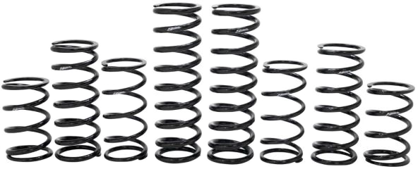 Dual Rate Spring Kit