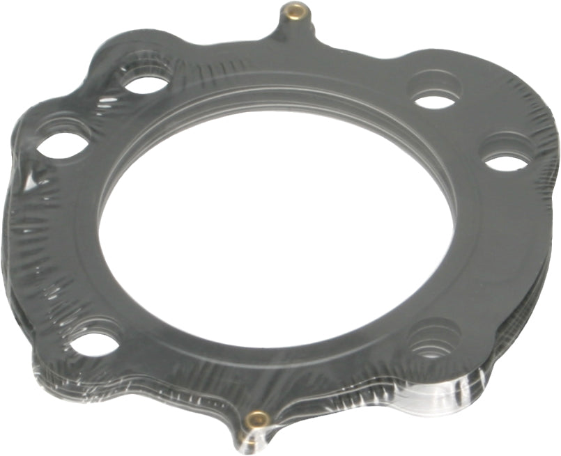 Sportster Head/Base Gasket