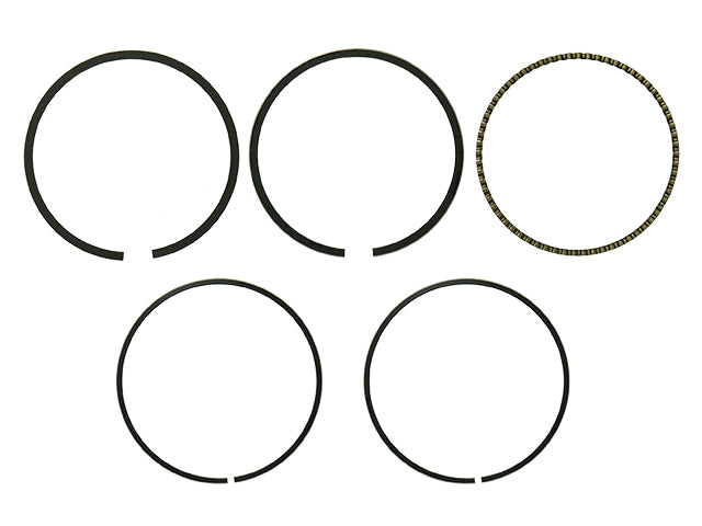 Piston Ring Kit
